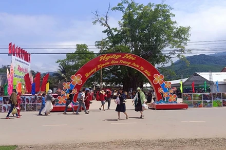 Không gian lễ hội được thiết kế khá đẹp mắt, thu hút đông đảo du khách địa phương và ngoài tỉnh.