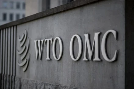 Các nhà lãnh đạo Tổ chức Thương mại Thế giới (WTO) kêu gọi nhanh chóng cải cách tổ chức đa phương này để duy trì tự do thương mại toàn cầu.
