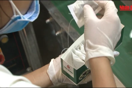 Lá trà từ miền quê Bình Định