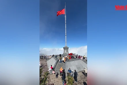 [Video] Sa Pa nắng đẹp những ngày cuối tháng 11