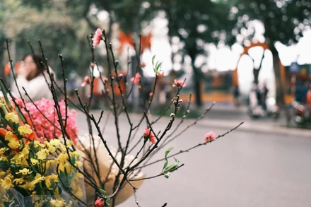 Hà Nội ngày cuối cùng của năm 2024