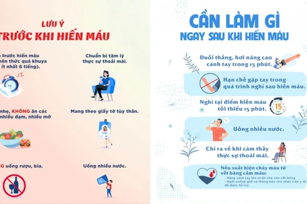 [Video] Những lưu ý trước và sau khi hiến máu