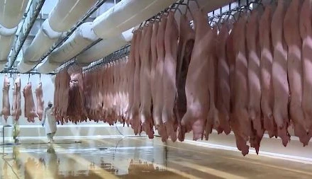 Bảo đảm nguồn cung thịt lợn sạch khi dịch tả lợn châu Phi bùng phát