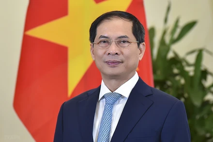 Bộ trưởng Ngoại giao Bùi Thanh Sơn. (Nguồn: TTXVN)