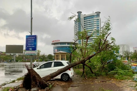 [Ảnh] Hải Phòng: Bão đổ bộ làm cây gãy đổ, nhà tốc mái, đồ đạc hư hỏng