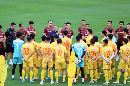 Nhà cầm quân người Pháp lên kế hoạch kỹ lưỡng để tuyển chọn lực lượng tối ưu cho đội tuyển Việt Nam thi đấu 2 trận FIFA Days. (Ảnh: VFF)