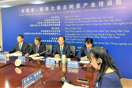 Lễ khai mạc Lớp tập huấn ngành chè cổ thụ giữa Việt Nam và Trung Quốc.