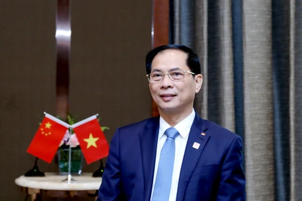 Bộ trưởng Ngoại giao Bùi Thanh Sơn.