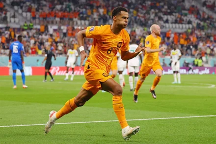 Tiền đạo của đội tuyển Hà Lan - Cody Gakpo. (Ảnh: Footballtransfer)