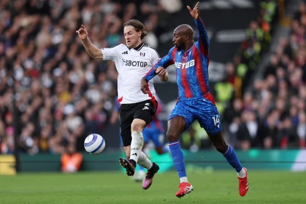 Fulham tiếp đón Crystal Palace trên sân nhà. (Ảnh: FulhamFC)