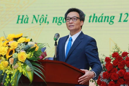 Phó Thủ tướng Vũ Đức Đam. (Ảnh: VGP)