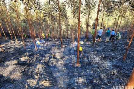 Hiện trường vụ cháy rừng khiến 2 người tử vong.