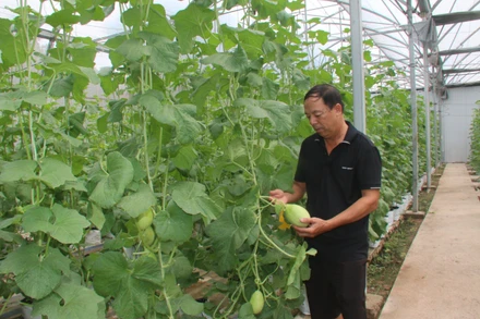 Phát triển kinh tế nông hộ góp phần xây dựng nông thôn mới