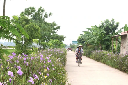 Phát triển đa dạng mô hình kinh tế gắn với xây dựng nông thôn mới