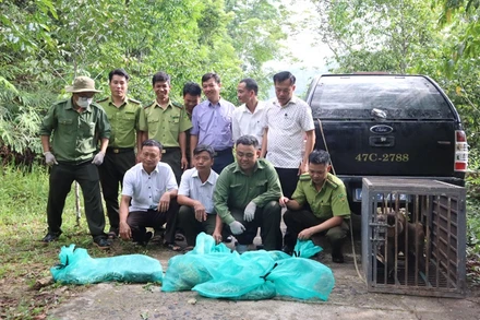 Lực lượng chức năng tổ chức thả các cá thể động vật hoang dã, quý hiếm về với tự nhiên.