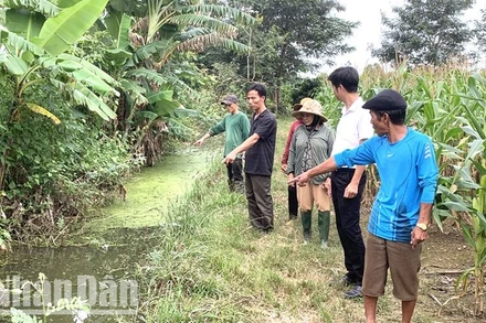 Thời tiết ở Đắk Lắk đang trong giai đoạn mùa mưa, có nhiều vũng nước đọng và nhiệt độ, độ ẩm thích hợp cho muỗi sinh trưởng, phát triển khiến bệnh viêm não Nhật Bản có nguy cơ bùng phát và lây lan trong cộng đồng.