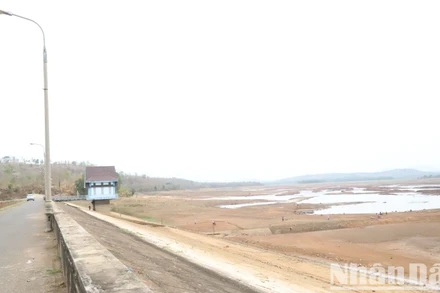 Hồ Ea Súp Thượng, hồ thủy lợi lớn nhất tỉnh Đắk Lắk đã cạn trơ đáy gần một tháng nay. 