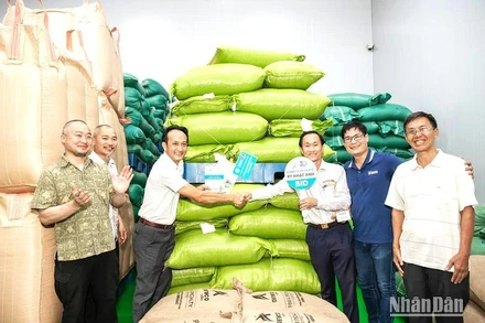 Các đơn vị tham gia đấu giá trong cuộc đấu giá cà-phê đặc sản đầu tiên tại Việt Nam năm 2023.