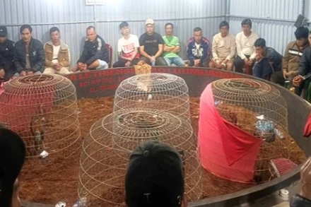 Cơ quan Công an bắt quả tang 50 đối tượng đang tham gia cá cược đá gà, thu giữ sáu con gà và 130 triệu đồng tiền mặt, cùng một số tang vật các đối tượng sử dụng đánh bạc.