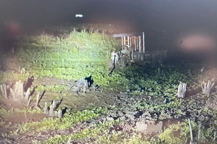 Khu vực xảy ra vụ việc điện giật.