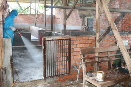 Các cơ quan chức năng ở Đắk Lắk phun hóa chất xử lý môi trường phòng, chống dịch bệnh cho đàn gia súc.
