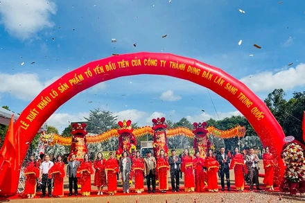 Các đại biểu cắt băng xuất khẩu chính ngạch lô sản phẩm tổ yến đầu tiên với sản lượng 400kg của Công ty cổ phần xuất nhập khẩu yến sào Thành Dung-Krông Pắc, tỉnh Đắk Lắk sang thị trường Trung Quốc.