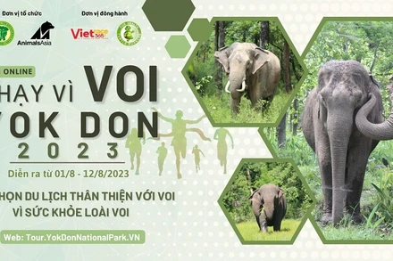 Giải online “Chạy vì loài voi Yok Đôn” lần 2 năm 2023 nhằm nâng cao nhận thức của cộng đồng biết đến “Ngày voi thế giới”. 