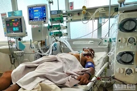 Một bệnh nhân bị ngộ độc nấm được điều trị tại Bệnh viện đa khoa vùng Tây Nguyên.