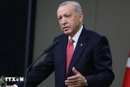 Tổng thống Thổ Nhĩ Kỳ Recep Tayyip Erdogan. (Ảnh: IRNA/TTXVN)