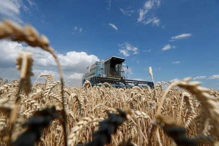 Ảnh minh họa. (Nguồn: AFP/TTXVN)