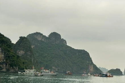 31 phương tiện được huy động trong cuộc tìm kiếm, cứu nạn.