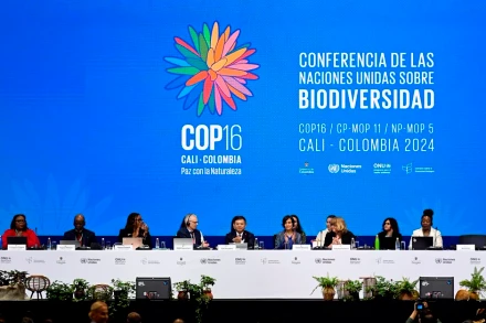 Các đại biểu dự Hội nghị lần thứ 16 Các bên tham gia Công ước Liên hợp quốc về Đa dạng sinh học (COP16) ở Cali, Colombia. (Ảnh: THX/TTXVN)