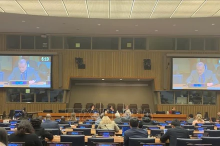 Phiên họp thường niên thứ 61 của Ủy ban Phát triển Xã hội (CSocD61). (Ảnh: TTXVN)