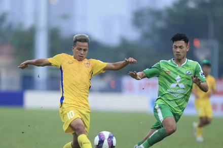 Ảnh minh họa. (Nguồn: phudongfc.com)