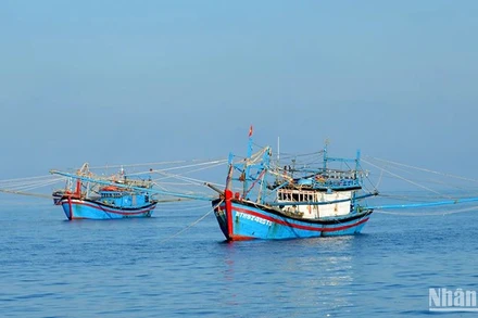 Ảnh minh họa. (Nguồn: Đình Châu)