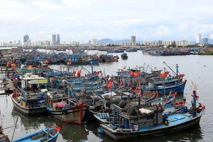 Tàu thuyền được sắp xếp đúng quy định để đảm bảo an toàn phòng chống bão Noru tại âu thuyền Thọ Quang, Đà Nẵng. (Ảnh: Trần Lê Lâm/TTXVN)