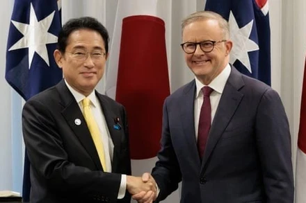 Thủ tướng Australia Anthony Albanese (phải) có cuộc hội đàm với người đồng cấp Nhật Bản Fumio Kishida. (Nguồn: AFP/TTXVN)