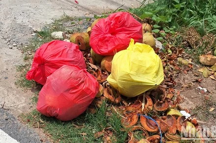 Rác thải trên địa bàn huyện Lấp Vò cơ bản được xử lý thu gom kịp thời.