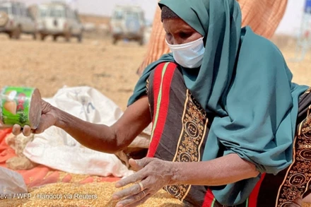 Ảnh minh họa. (Nguồn: Reuters)