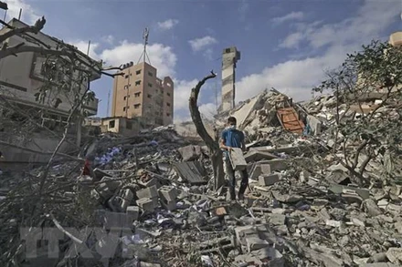 Người dân Palestine tìm kiếm đồ đạc còn sót lại trong toà nhà đã bị phá hủy trong các cuộc không kích của máy bay Israel xuống Dải Gaza. (Ảnh: AFP/TTXVN)