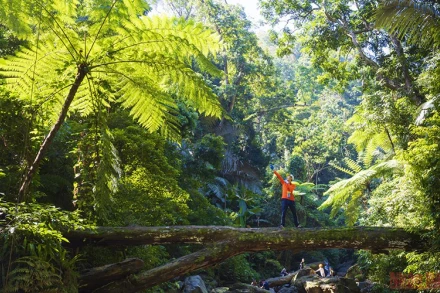 Khám phá rừng Động Châu ở Quảng Bình, Việt Nam. (Ảnh: KIÊN TRẦN)