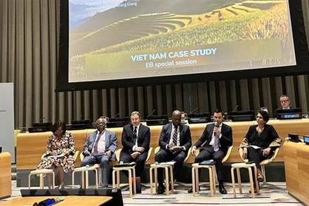 Đại sứ Đặng Hoàng Giang, Trưởng phái đoàn đại diện thường trực Việt Nam tại LHQ (thứ 2 từ phải qua), phát biểu tại phiên họp. (Ảnh: TTXVN)