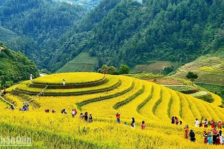 Du khách khám phá vẻ đẹp của ruộng bậc thang tại xã La Pán Tẩn, huyện Mù Cang Chải (Yên Bái). (Ảnh Hạnh Hoàng)