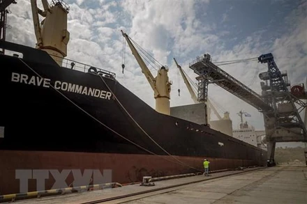 Chất ngũ cốc lên tàu đưa đi xuất khẩu tại cảng ở thành phố Yuzhne, Ukraine. (Ảnh: AFP/TTXVN)