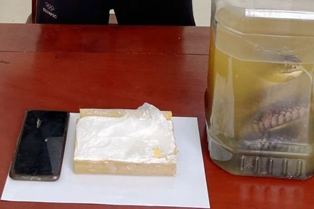 Tang vật vụ án.