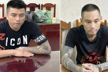 Hai đối tượng bị tạm giữ hình sự.