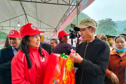 Phó Chủ tịch Trung ương Hội Chữ thập đỏ Việt Nam tặng quà Tết cho hộ có hoàn cảnh khó khăn.