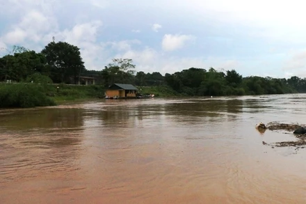 Nước lũ đang lên trên sông Bưởi ở huyện Thạch Thành, tỉnh Thanh Hóa.