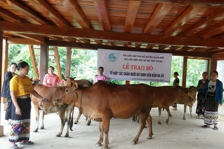 Tổ hợp tác phát triển chăn nuôi gia súc được xây dựng, nhân rộng ở vùng miền núi Thanh Hóa.