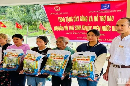 Hỗ trợ gạo và cây trồng rừng giúp bà con vùng thủy điện ổn định cuộc sống và bảo vệ rừng tốt hơn.